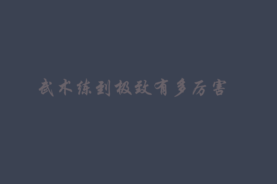 武术练到极致有多厉害啊