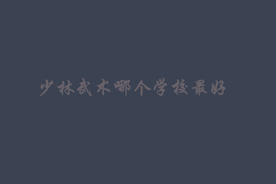 少林武术哪个学校最好
