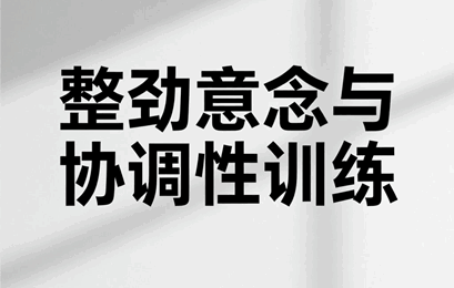 整劲意念与协调性训练