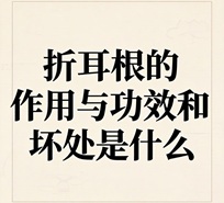 折耳根的作用与功效和坏处是什么 有哪些